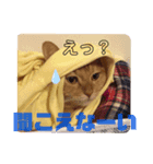 虎之助の日常withエルモ1（個別スタンプ：2）