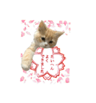 うちのあにまるず2！（個別スタンプ：9）