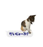 うちのあにまるず2！（個別スタンプ：18）