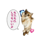 うちのあにまるず2！（個別スタンプ：31）