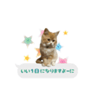 うちのあにまるず2！（個別スタンプ：33）