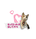 うちのあにまるず2！（個別スタンプ：36）