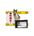 うちのあにまるず2！（個別スタンプ：39）