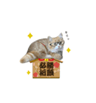 うちのあにまるず2！（個別スタンプ：40）