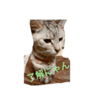 catスタンプ（個別スタンプ：6）