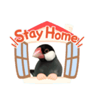 桜文鳥ごま丸 スタンプ コロナ自粛ver.（個別スタンプ：9）