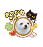 クロエのひとこと（個別スタンプ：4）