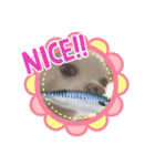 クロエのひとこと（個別スタンプ：5）