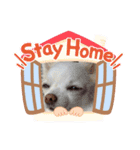 クロエのひとこと（個別スタンプ：7）