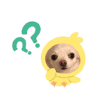 クロエのひとこと（個別スタンプ：8）