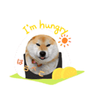 のんびり柴犬スタンプ（個別スタンプ：8）