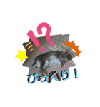 らむらむといっしょ（個別スタンプ：2）