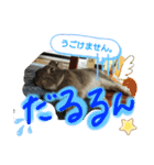 らむらむといっしょ（個別スタンプ：3）