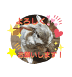 らむらむといっしょ（個別スタンプ：7）