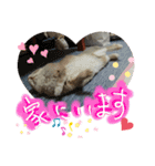 らむらむといっしょ（個別スタンプ：9）