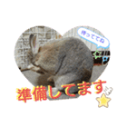 らむらむといっしょ（個別スタンプ：10）
