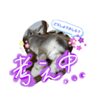 らむらむといっしょ（個別スタンプ：11）