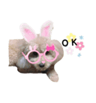 愛しすぎる私のわんこ（個別スタンプ：8）