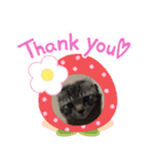 メタボ猫ですけどシリーズ3（個別スタンプ：5）