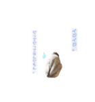 わたしの文鳥挨拶編（個別スタンプ：10）