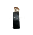 神田ミドリガメ（個別スタンプ：8）