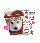 保護わん ケイト郁舞（個別スタンプ：28）