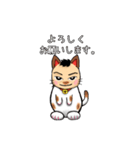 ねこの手(あきねこ)（個別スタンプ：3）
