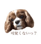 ローラたん。（個別スタンプ：8）