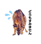 ジャーマンシェパードわらびときぃる（個別スタンプ：2）