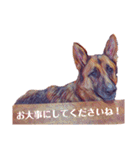 ジャーマンシェパードわらびときぃる（個別スタンプ：21）