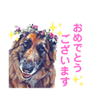 ジャーマンシェパードわらびときぃる（個別スタンプ：29）