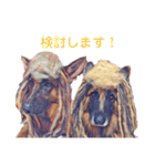 ジャーマンシェパードわらびときぃる（個別スタンプ：30）