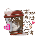 にゃんこの癒し可愛いつぶやきスタンプ（個別スタンプ：14）