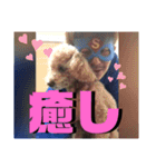 SuperBoys2020スタンプVol.1（個別スタンプ：18）
