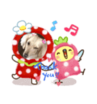 我が家の小悪魔達（個別スタンプ：4）