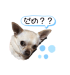 P☆M☆F 3（個別スタンプ：5）
