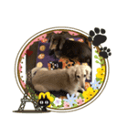我が家の美魔女達（個別スタンプ：7）