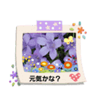 お花で遊ぼう9（個別スタンプ：1）