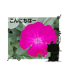 お花で遊ぼう9（個別スタンプ：3）