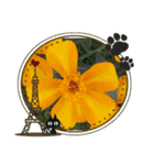 お花で遊ぼう9（個別スタンプ：9）