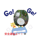 お花で遊ぼう9（個別スタンプ：15）