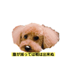 ラブ♂（個別スタンプ：1）