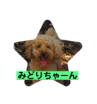 ラブ♂（個別スタンプ：10）