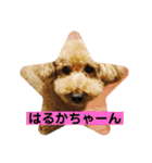 ラブ♂（個別スタンプ：13）