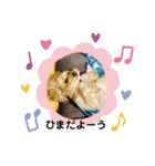 ラブ♂（個別スタンプ：15）