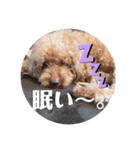 ここばに❤（個別スタンプ：7）