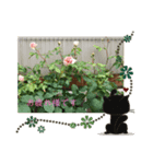 思い出写真集（個別スタンプ：3）