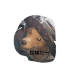 カール君のスタンプ（個別スタンプ：5）