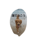 カール君のスタンプ（個別スタンプ：6）