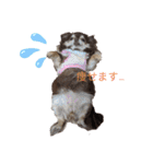 くるみとこのみ。（個別スタンプ：1）